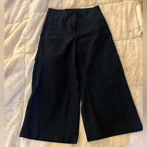 Ann Taylor High Waisted Wide Leg Ankle Pant - Size 8